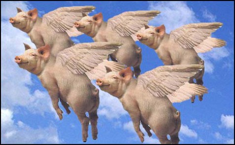 flying-pigs